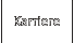 Karriere